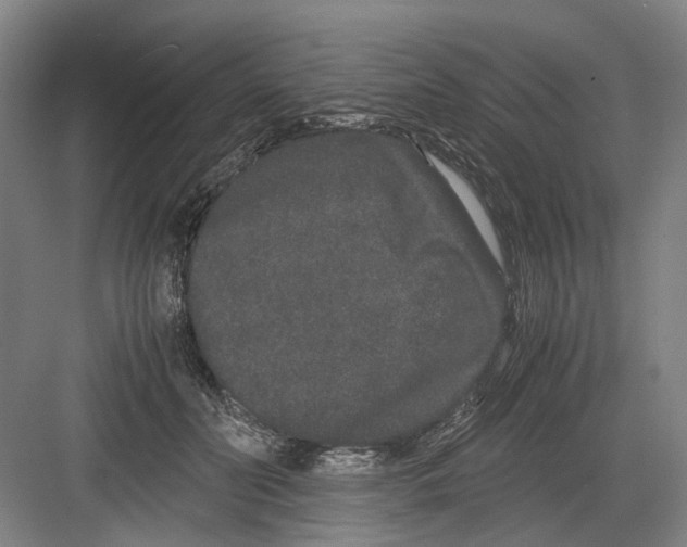 X0000082200606200702170020