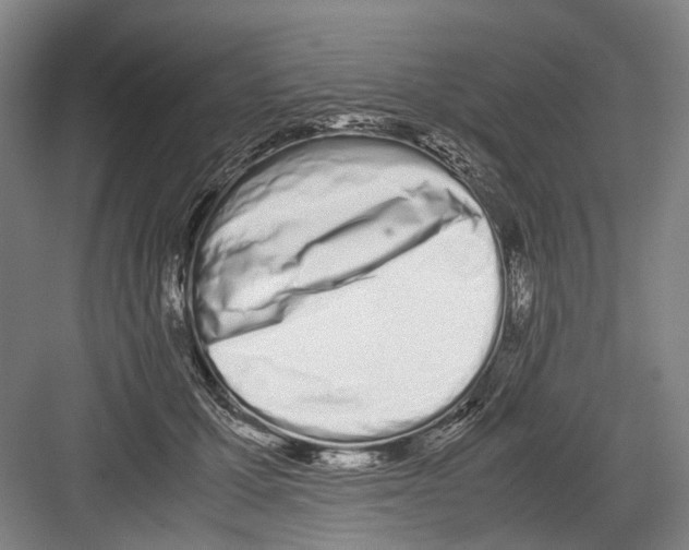 X0000082200607200702170020