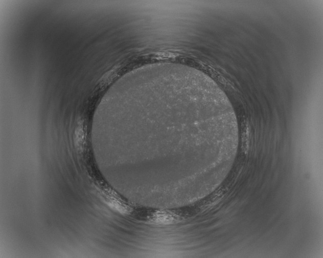 X0000082200608200702170020