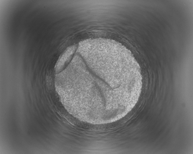 X0000082200609200702170020