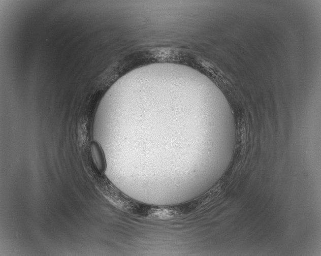 X0000082200611200702170020