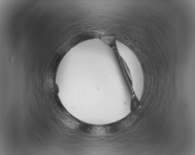 X0000082200613200702170020