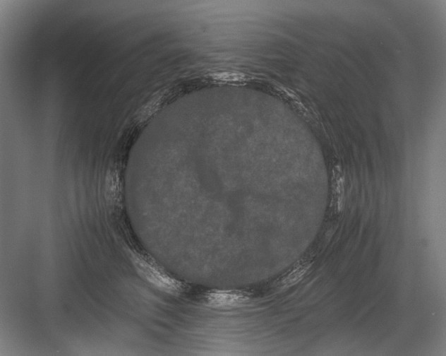 X0000082200614200702170020