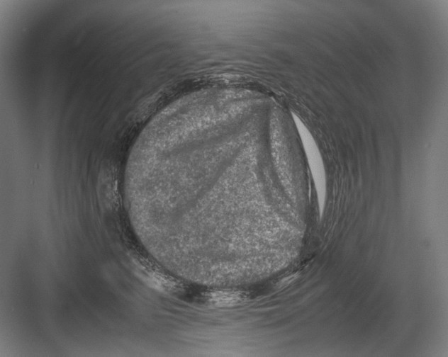 X0000082200615200702170020