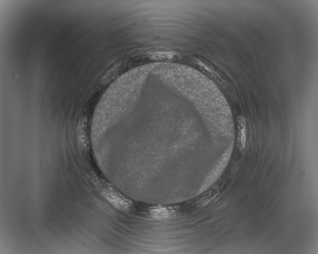 X0000082200616200702170020