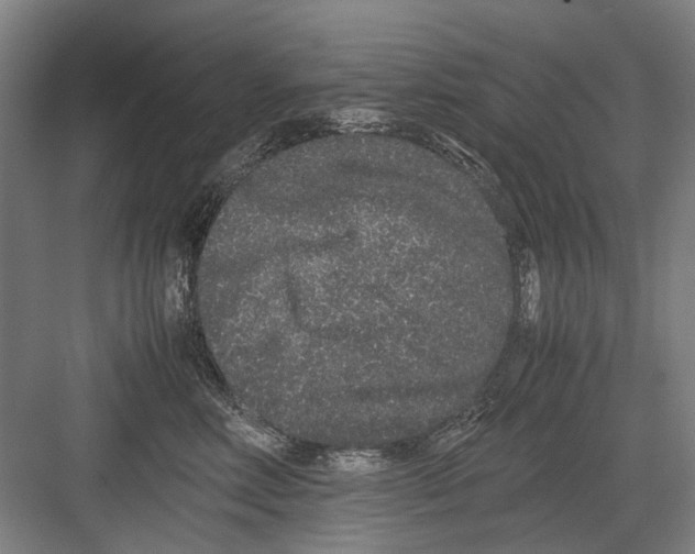 X0000082200618200702170020