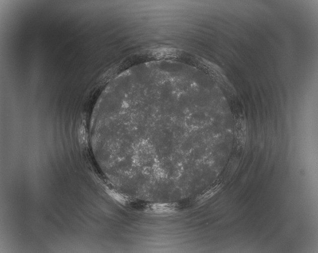 X0000082200622200702170020