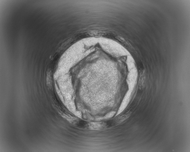 X0000082200623200702170020