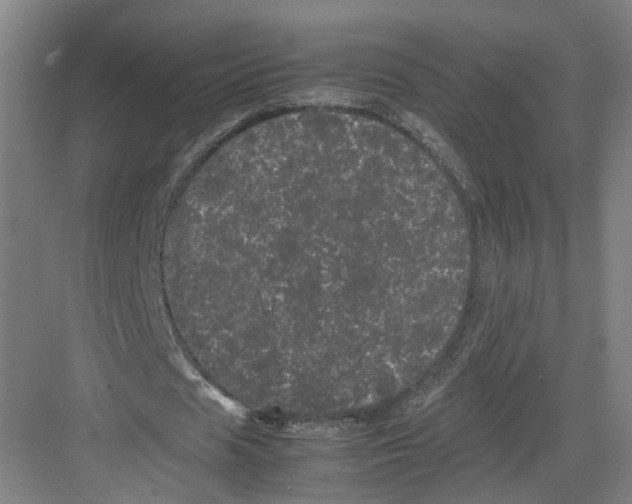 X0000082200625200702170019