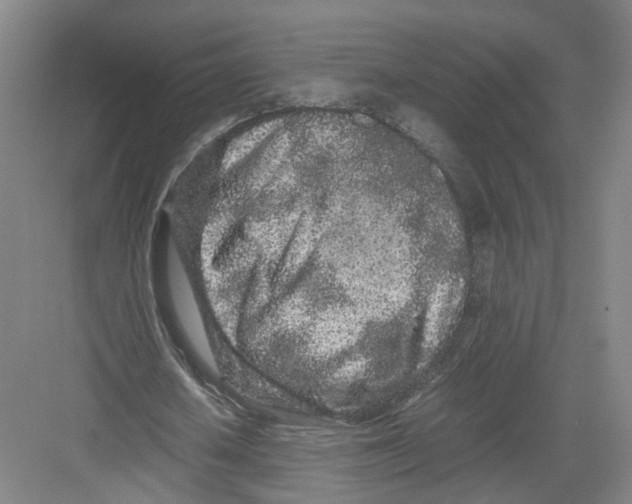 X0000082200626200702170019