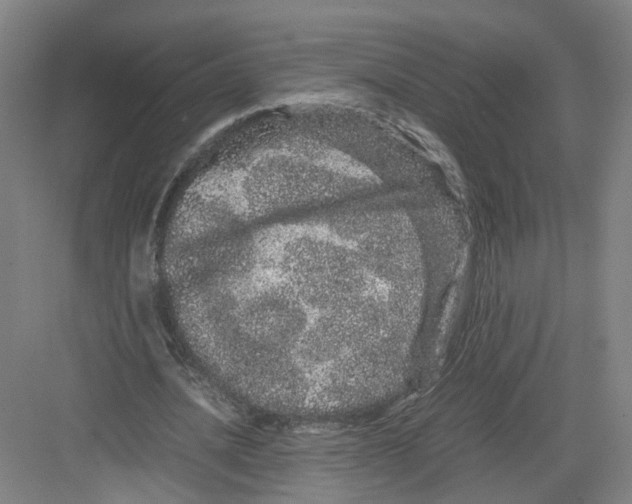 X0000082200628200702170019