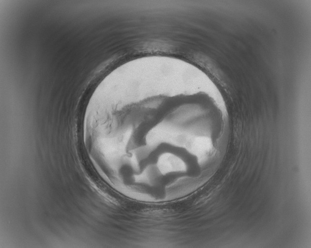 X0000082200629200702170019