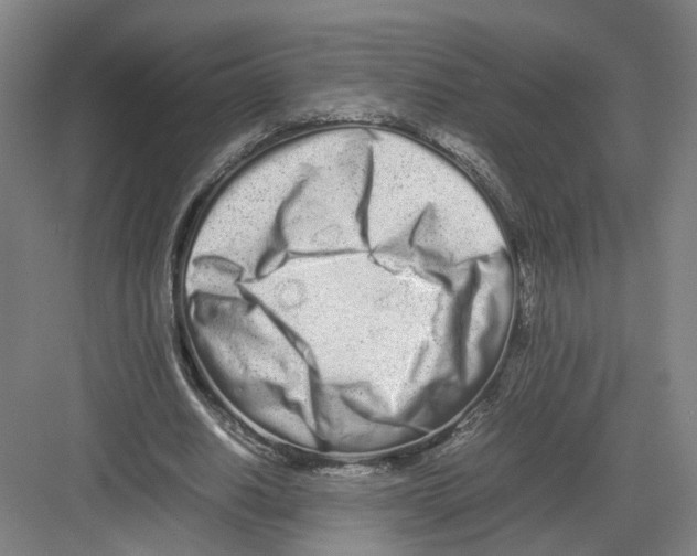 X0000082200630200702170019