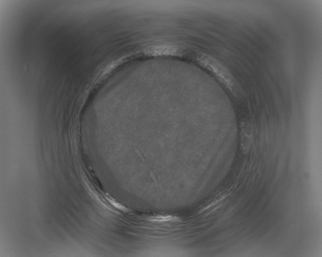 X0000082200631200702170019