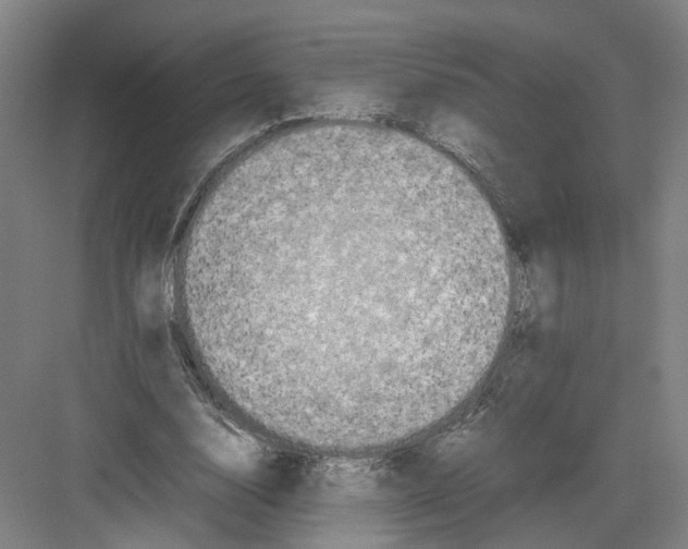 X0000082200632200702170019