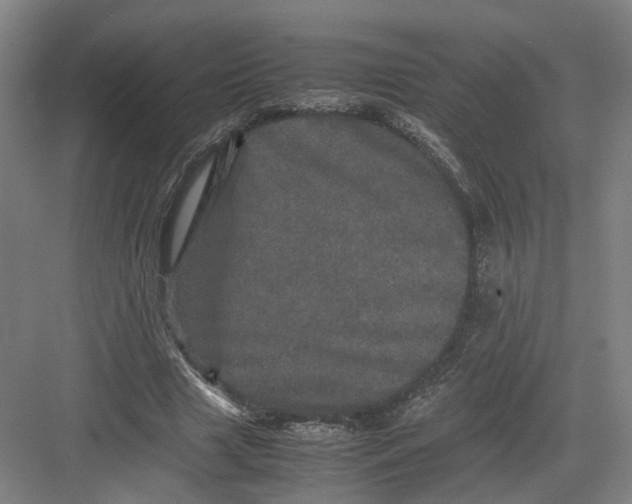 X0000082200633200702170019