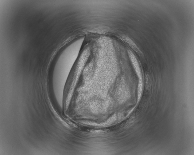 X0000082200634200702170019