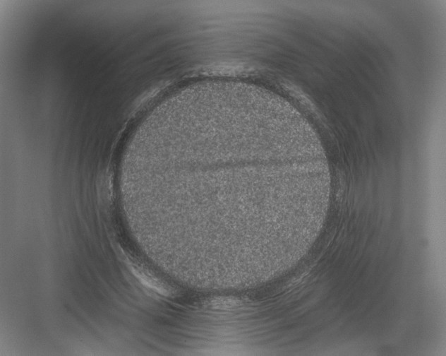 X0000082200636200702170019