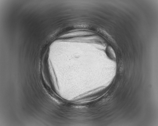 X0000082200637200702170019