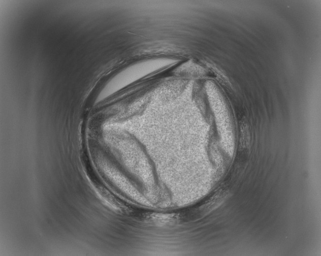 X0000082200638200702170019