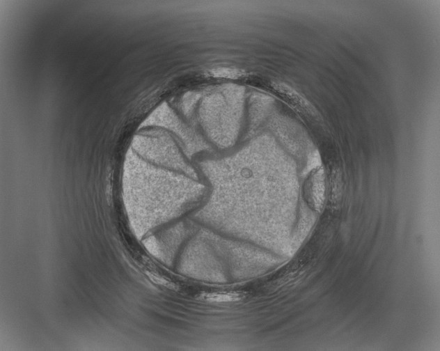 X0000082200639200702170019