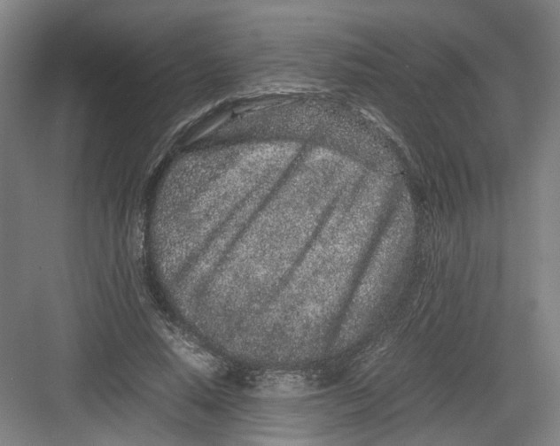 X0000082200640200702170019