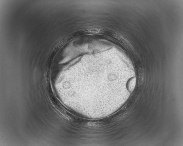 X0000082200641200702170019