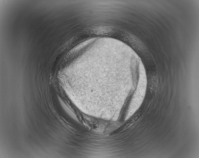 X0000082200644200702170019