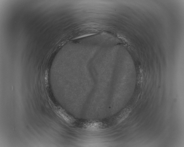 X0000082200646200702170019