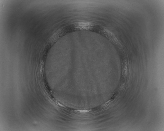 X0000082200647200702170019