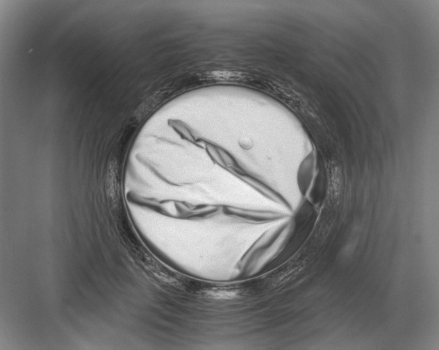 X0000082200651200702170019