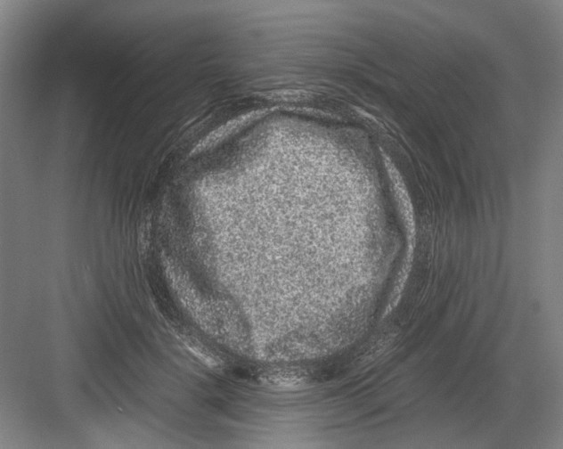 X0000082200652200702170019