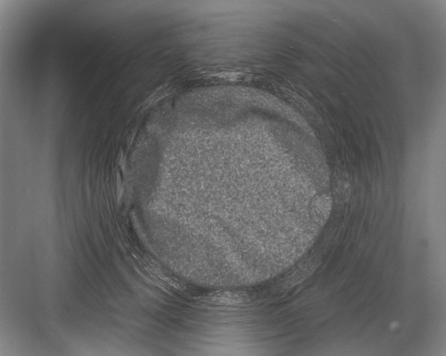 X0000082200656200702170019