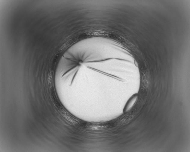 X0000082200657200702170019