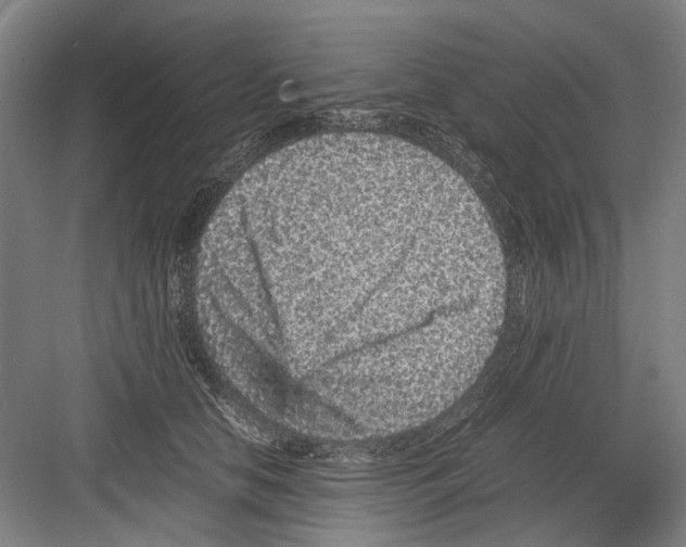 X0000082200658200702170019