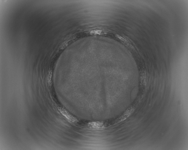 X0000082200660200702170019