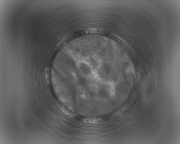 X0000082200661200702170019