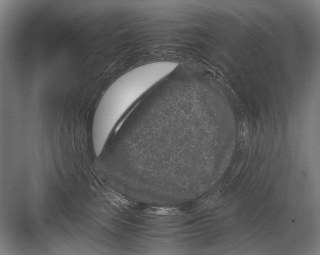 X0000082200663200702170019