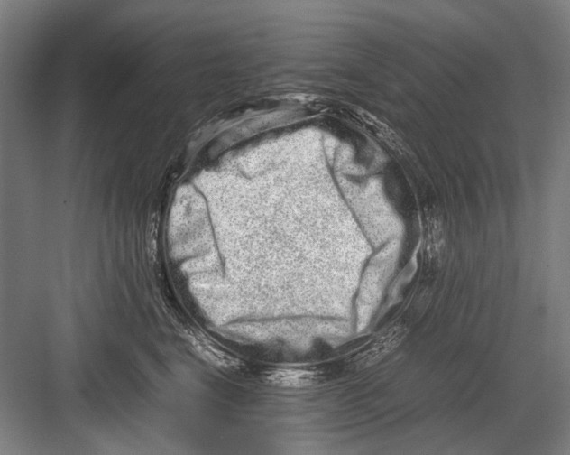 X0000082200664200702170020