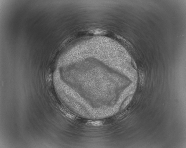 X0000082200665200702170020