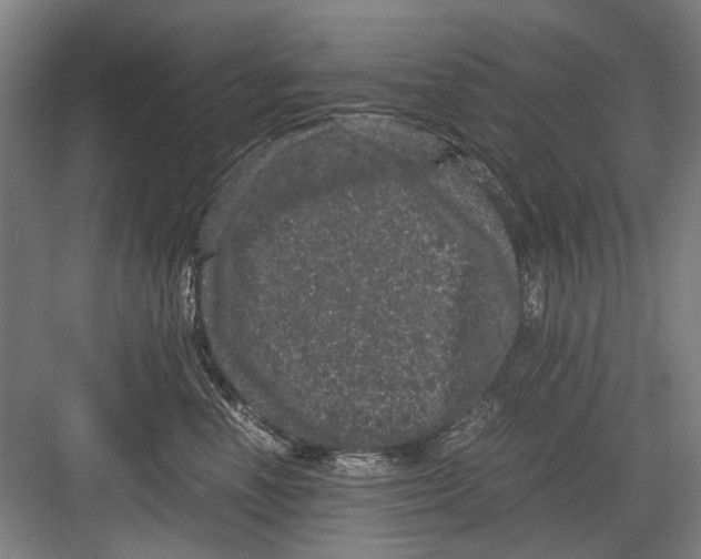 X0000082200666200702170020