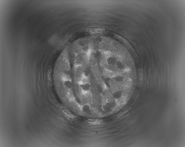 X0000082200667200702170020