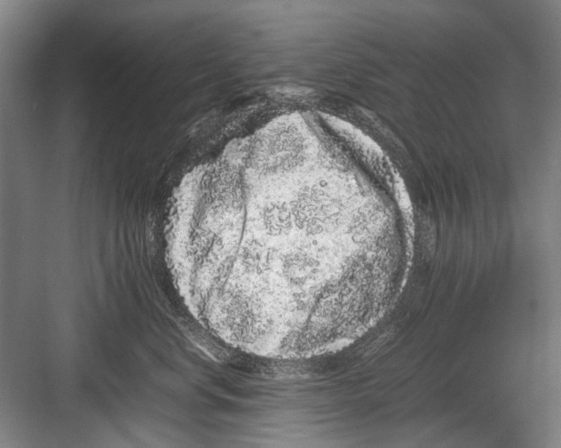 X0000082200668200702170020