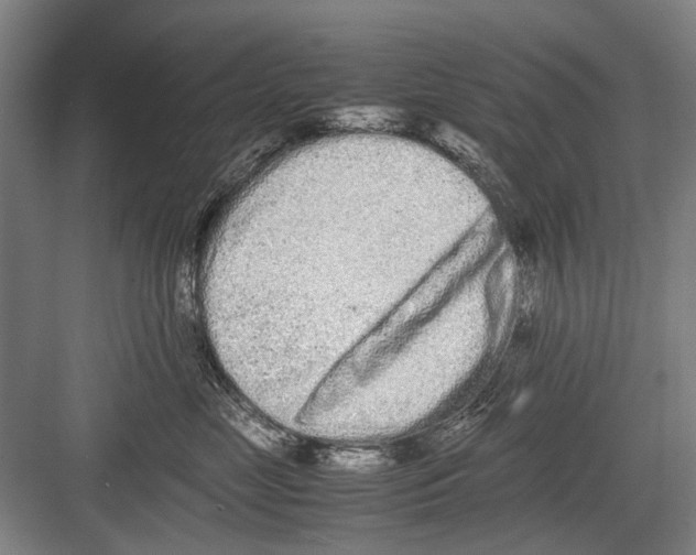 X0000082200669200702170020