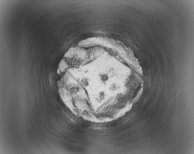 X0000082200671200702170020