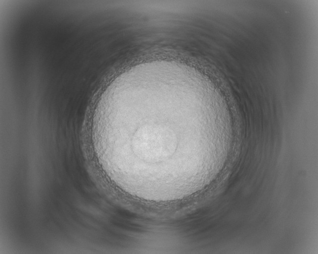 X0000082200672200702170020