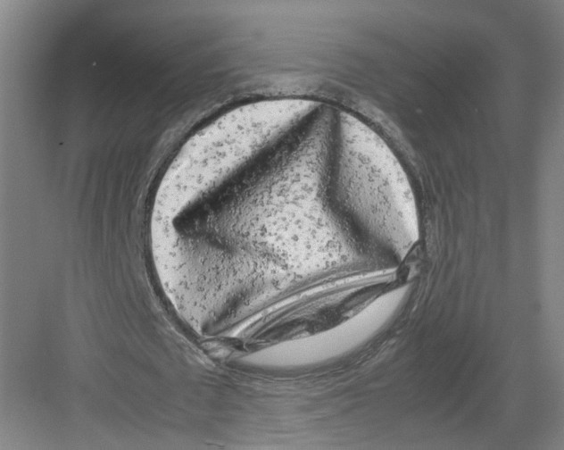 X0000082200673200702170019