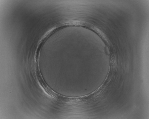 X0000082200674200702170019