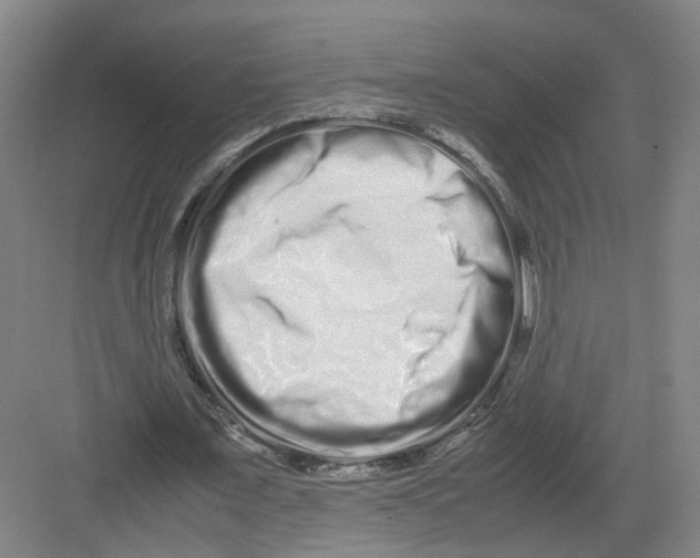 X0000082200675200702170019