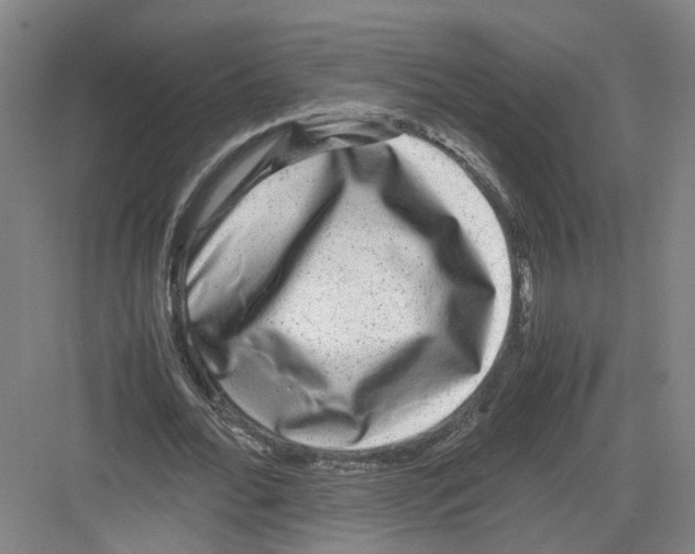 X0000082200676200702170019